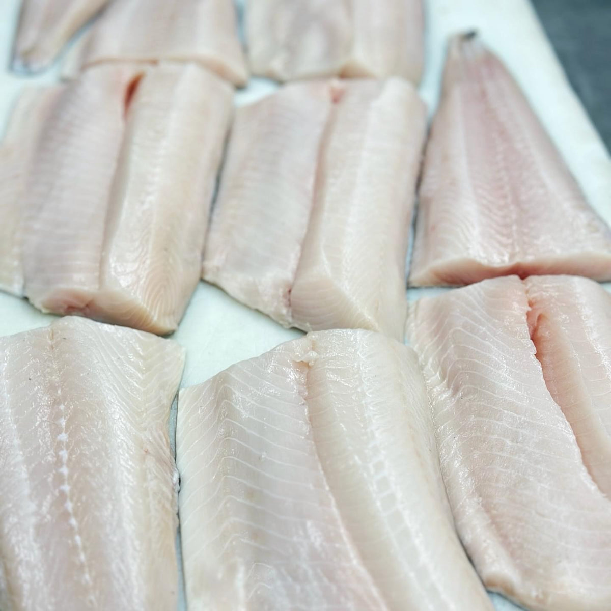 Alaskan Sablefish