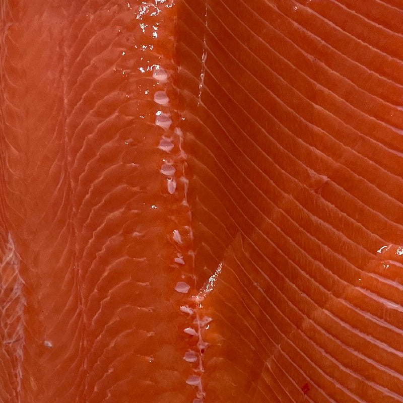 Alaskan Coho Salmon